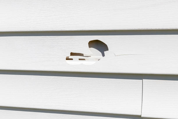 Best Siding Painting and Refinishing  in USA